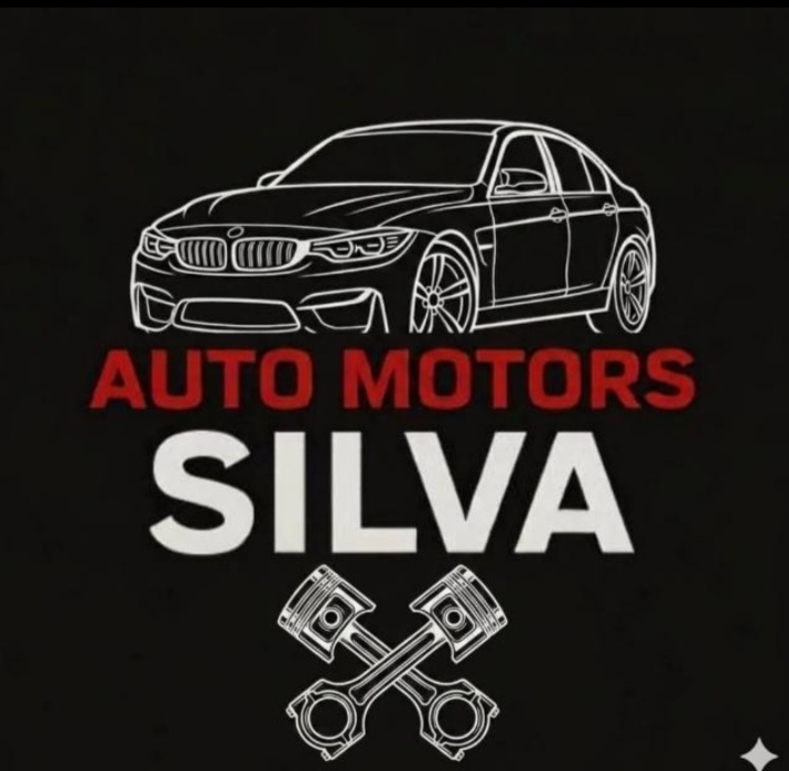 Auto Motors Silva